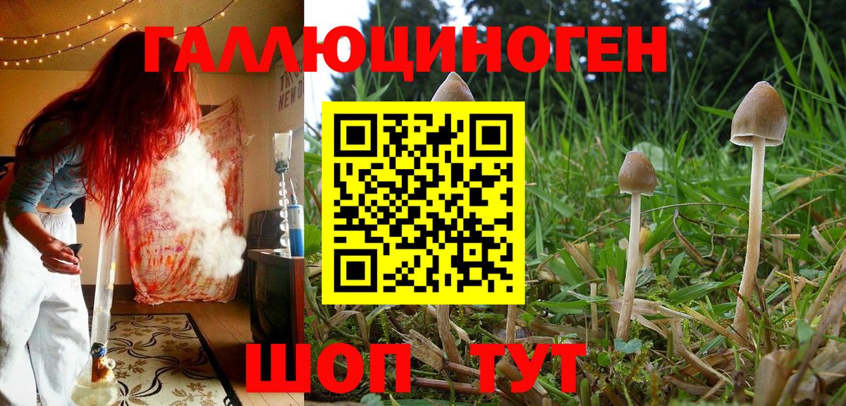 Псилоцибиновые грибы прущие грибы Королёв