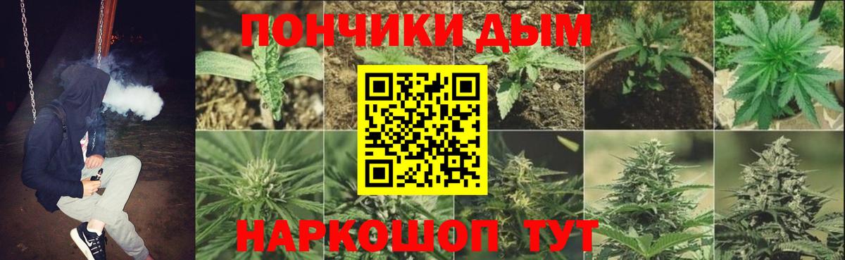 Марихуана марихуана  МАРИХУАНА OG Kush  Королёв  Марихуана конопля  Вход с VPN  Каннабис ГИДРОПОН 